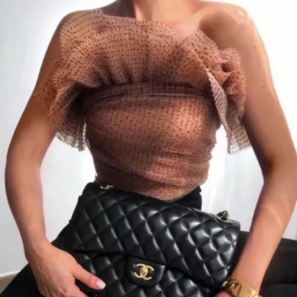 ZARA WOMAN NWT FW20/21 TULLE CROPPED ORGANZA TOP REF: 7848/592